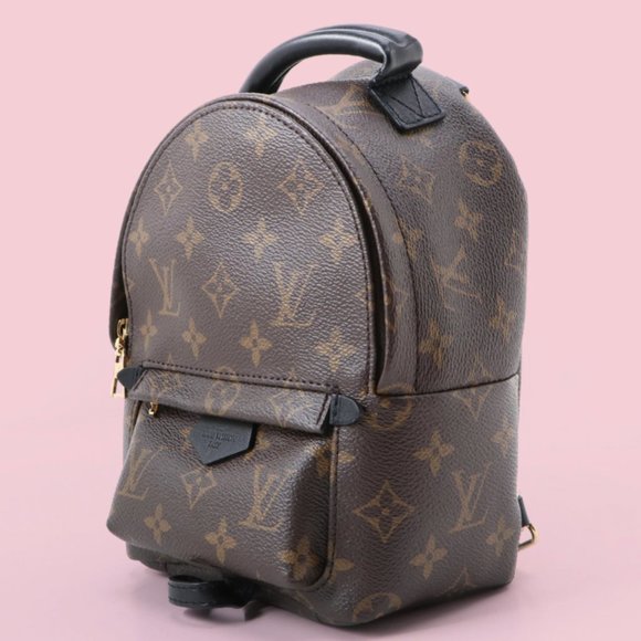 SOLD - Louis Vuitton Palm Springs Mini Backpack - Picture 3 of 11